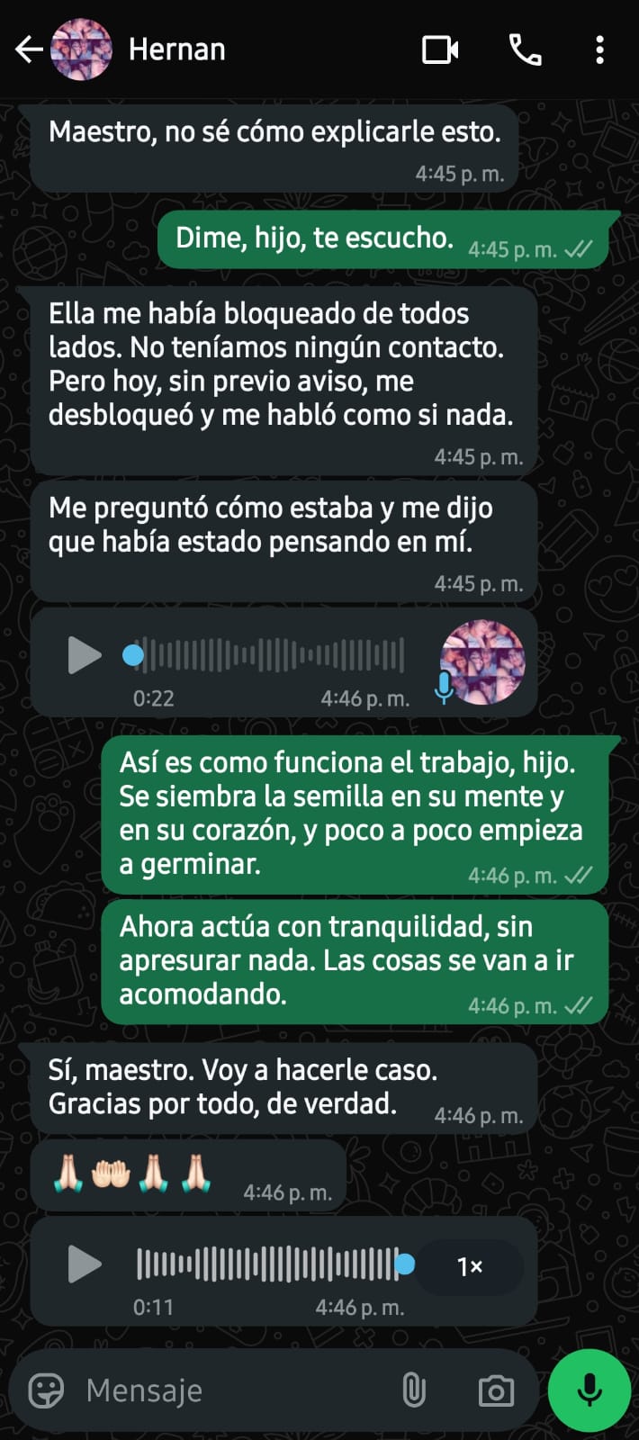 MAESTRO 11